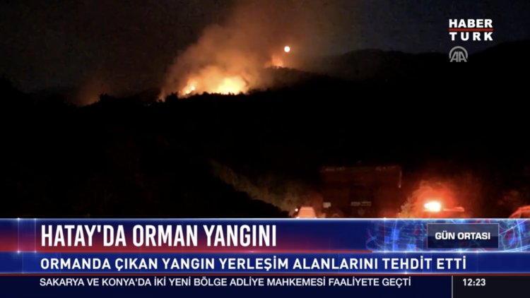 Hatay'da orman yangını