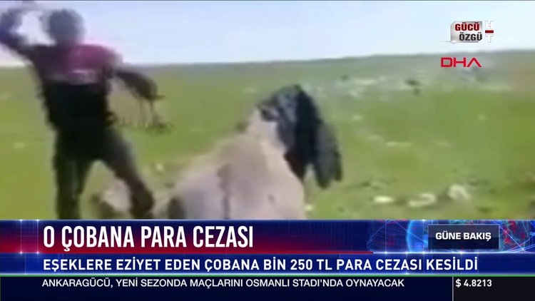 O çobana para cezası