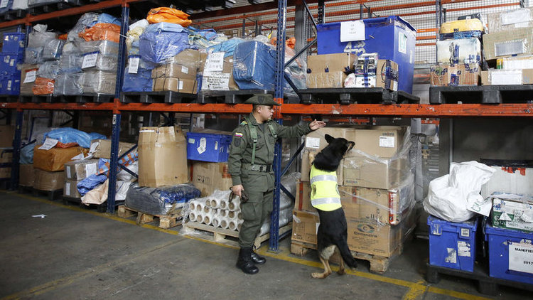 Uyuşturucu kartelleri köpek Sombra&#039;nın başına ödül koydu! Polis harekete geçti