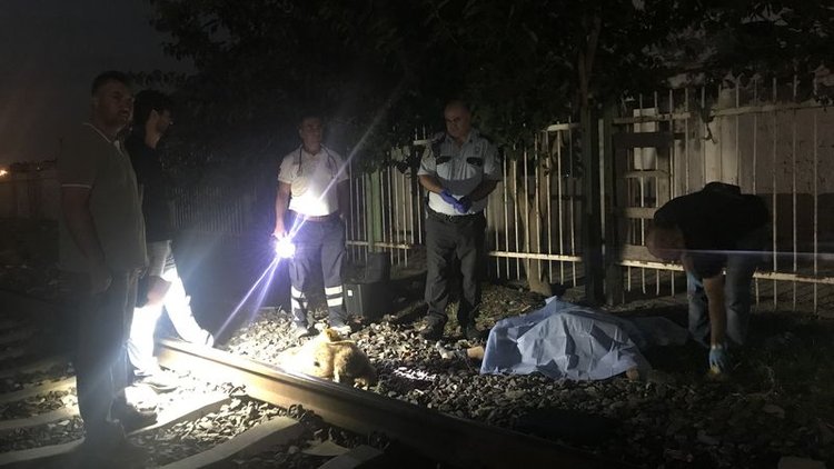 Manisa'da trenin çarptığı çoban öldü