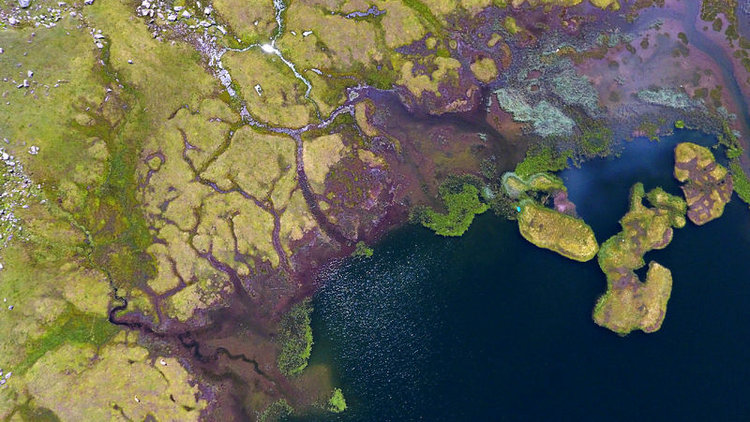 Rize'de yaylacılar yüzen adalarla hava tahmini yapıyor