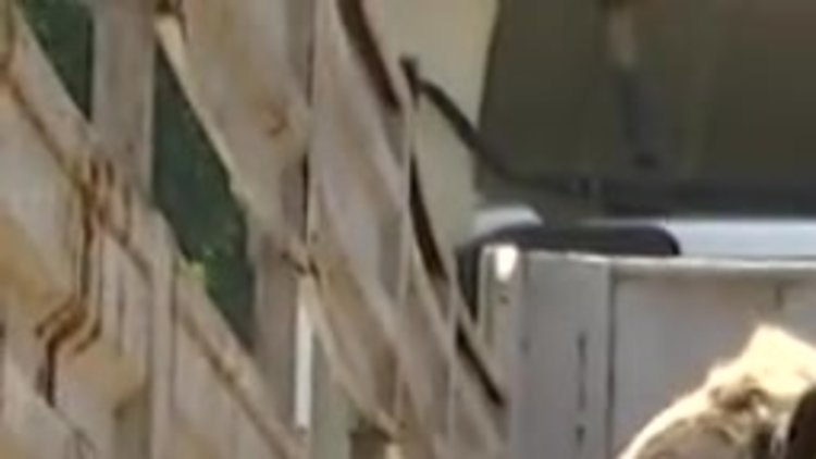 Kaçan kurbanlık zor anlar yaşattı