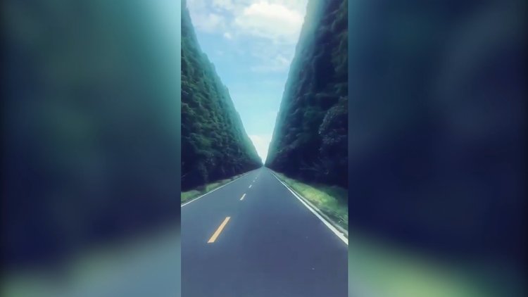 Bitmesini hiç istemeyeceğiniz bir yol