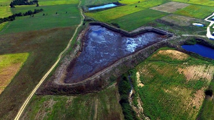 Hayvan gübresi sızdı! Dere artık simsiyah akıyor