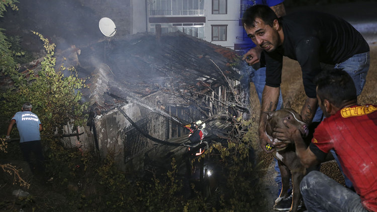 Ankara'da gecekondu yangını! 3 köpek son anda kurtarıldı