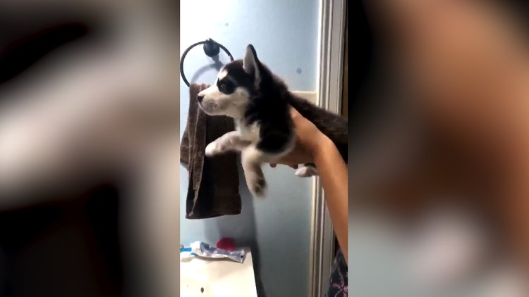 Çıkan sesle birlikte yıkanacak olmanın hazırlığı