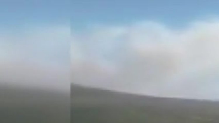 Manisa Soma'da orman yangını