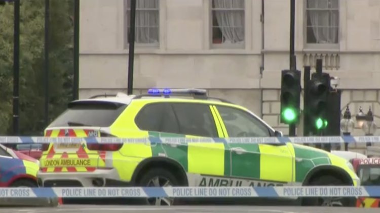 Londra'da güvenlik alarmı