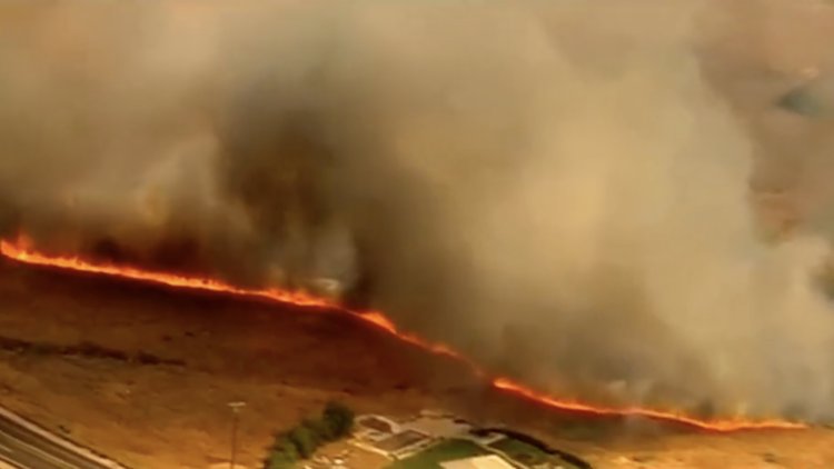 Kaliforniya alev alev