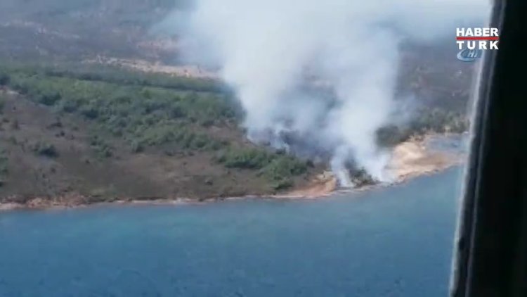 Cunda Adası'nda orman yangını