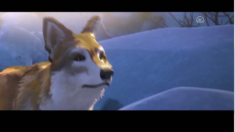 Beyaz Diş (Croc- Blanc) Fragman