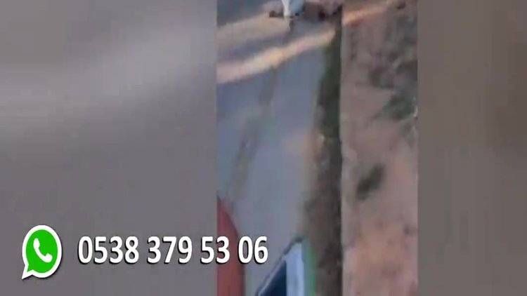 "Bu at ölmemiş bayılmış"