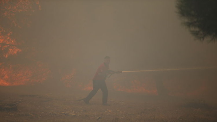 Göbeklitepe yakınlarında orman yangını!