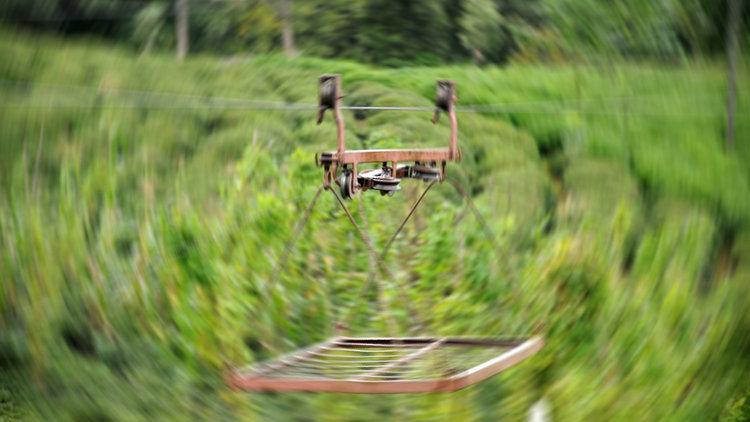 Rize'de ilkel teleferik can aldı