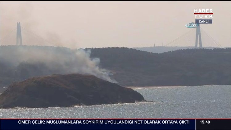 Beykoz'da orman yangını