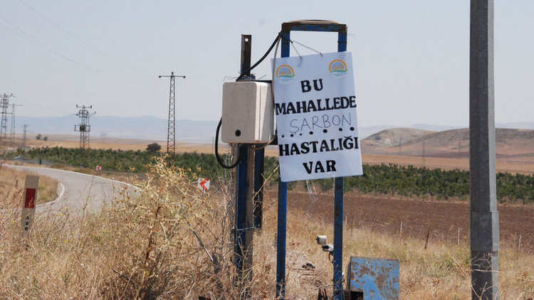 Ankara'da şarbon alarmı! Özel sektöre ait işletme karantinaya alındı