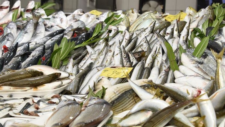 Balık hasreti bitiyor