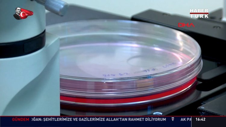 Diyabete tek dozda son