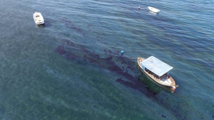 İzmir Aliağa'da ham petrol sızıntısı