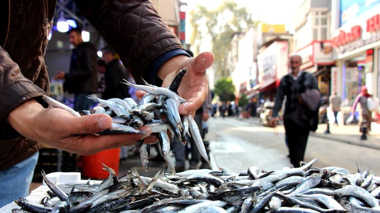 Tezgahlar bereketlenecek! Balıkta av yasağı kalkıyor