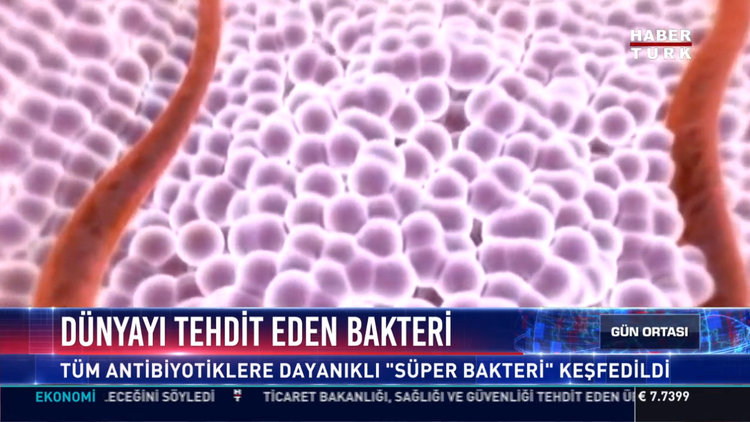 Dünyayı tehdit eden bakteri