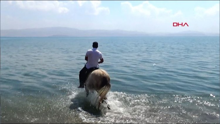 "Van Gölü bizim, başka denizimiz yok"
