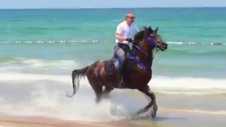 Ak Parti'li Mehdi Eker binicilikte ustalığını gösterdi