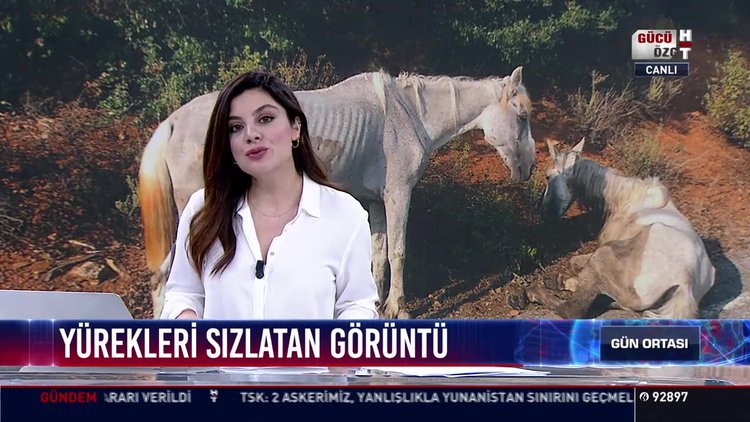 Yürekleri sızlatan görüntü