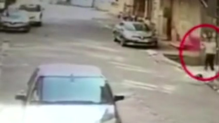 Sepetle bonzai satışı kamerada