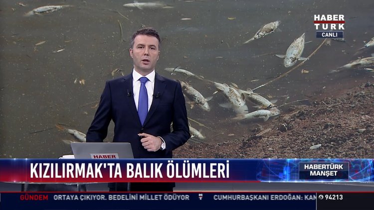 Kızılırmak'ta balık ölümleri: Tarım ve Orman müdürlüğü ekipleri inceleme başlattı