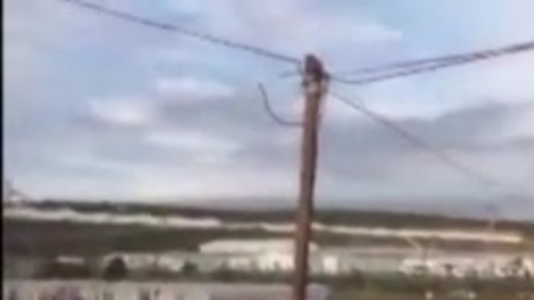 3. Havalimanında eylem yapan işçilere jandarma müdahalesi