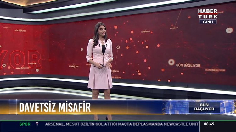 Davetsiz misafir: Başakşehir'de bir eve Hint balıkçıl kuşu girdi