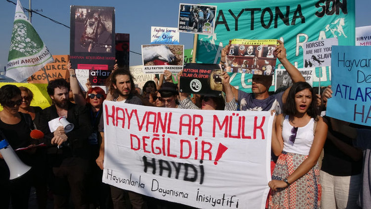 Atlara özgürlük eylemi