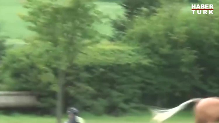 Hayvanlarla başı dertte olan insanlar