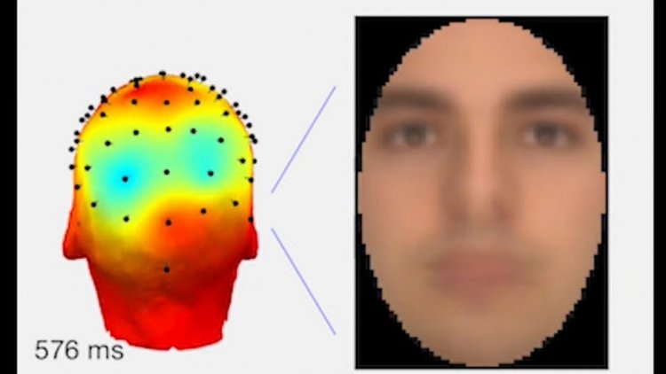 Biliminsanları EEG verileriyle hafızayı resme döktü
