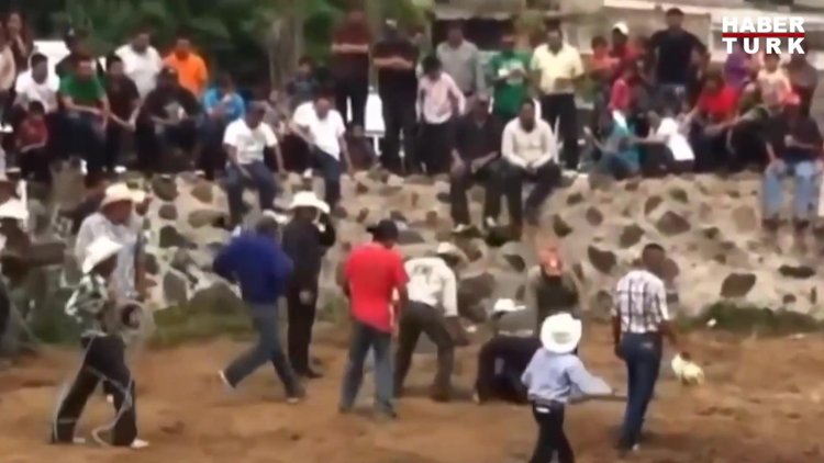 Hayvanların intikamları