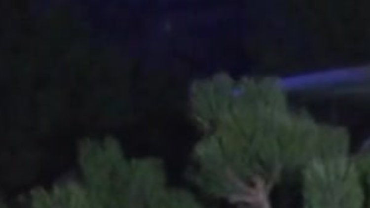 TIR'a arkadan çarpan otomobil şarampole savruldu: 2 ölü