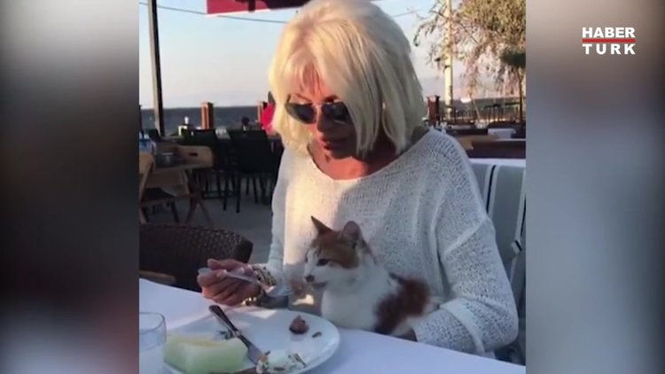 Ajda Pekkan sokak kedisini elleriyle besledi