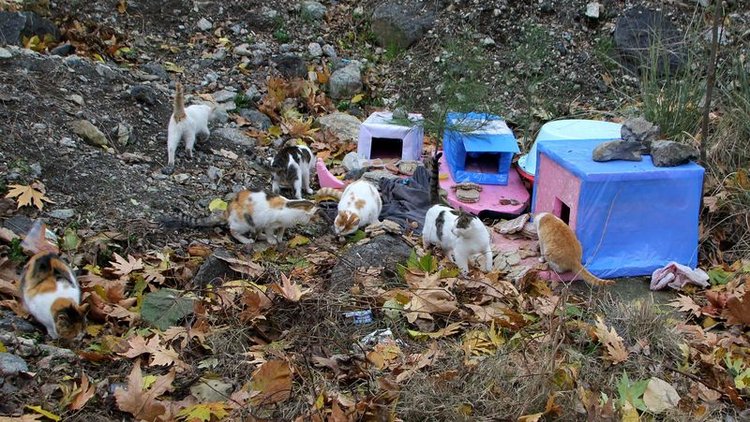 Hurdalardan ortez yaptı