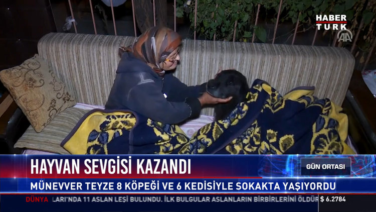 Hayvan sevgisi kazandı