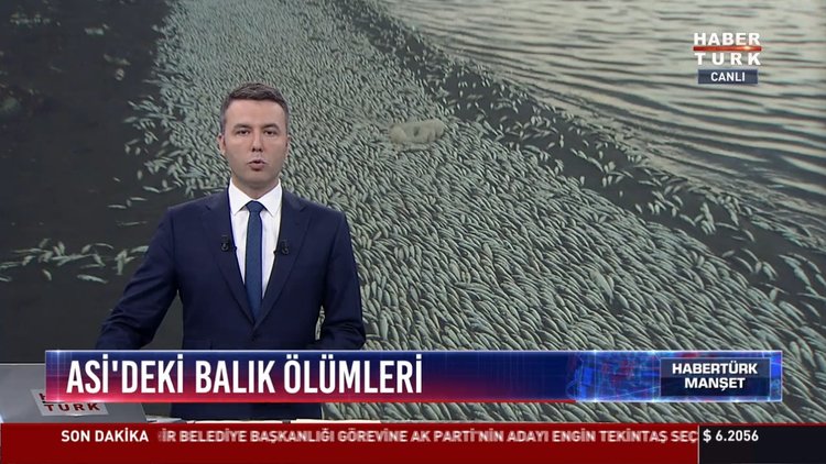 Asi'de balık ölümleri: İlk bulgulara göre balıklar yüksek debi sonucu şoktan öldü
