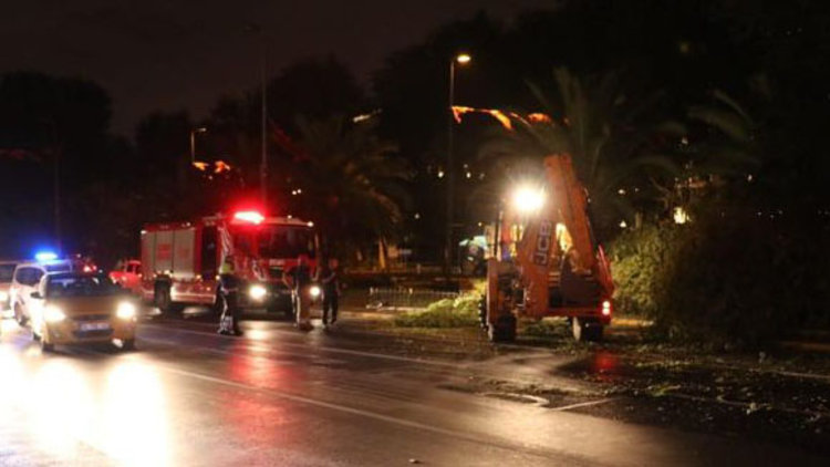 Vatan Caddesi'nde ağaç yola devrildi