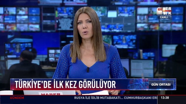 Türkiye'de ilk kez görülüyor: Bursa'da ağaçlara zarar veren o tırtıllar inceleniyor