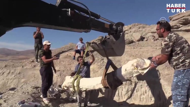 Fil fosilleri alçılanıp, böyle taşındı