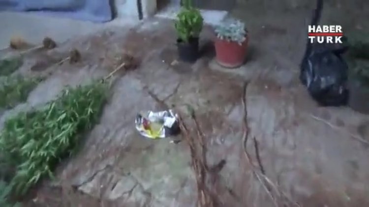 Bakırköy'de metruk binada uyuşturucu serası