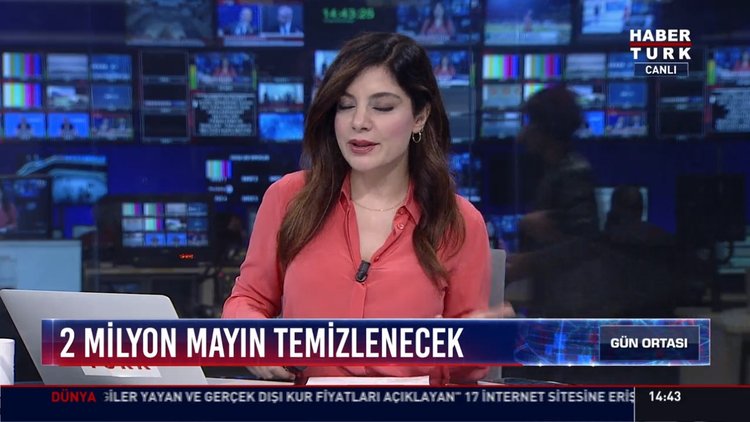 2 milyon mayın temizlenecek: Güney ve Kuzey Kore sınırındaki mayınlar temizleniyor