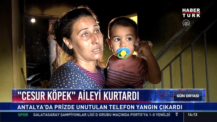 "Cesur köpek" aileyi kurtardı: Antalya'da prizde unutulan telefon yangın çıkardı