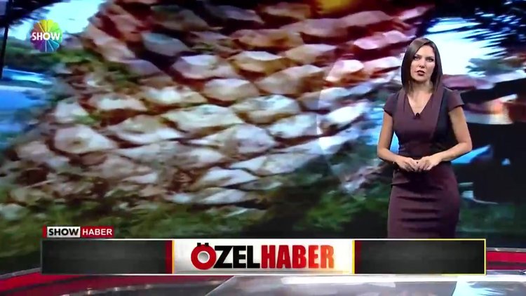 Saçından tuttu, hakaret etti, yumrukladı!