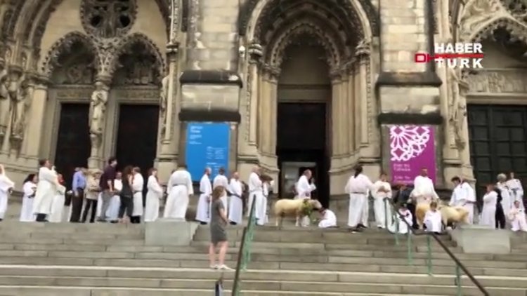 Katedralde yüzlerce hayvanı kutsadılar!