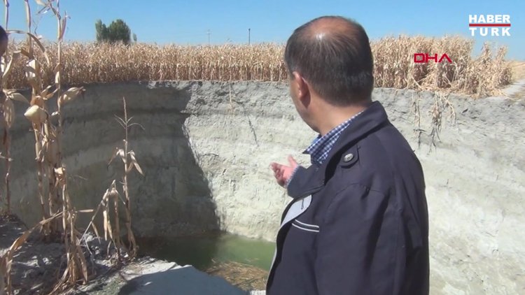 Obruk içine düşen tilki için ekipler seferber oldu